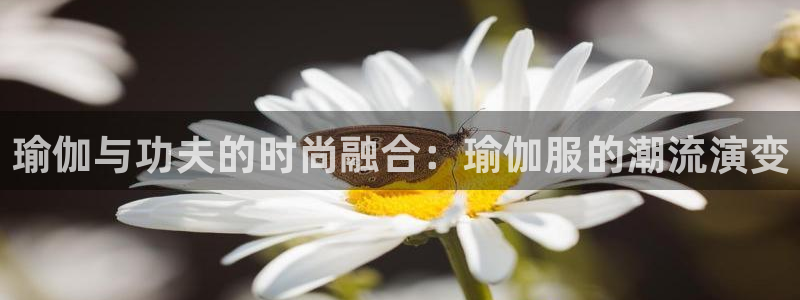 欧洲杯决赛彩票网上购买